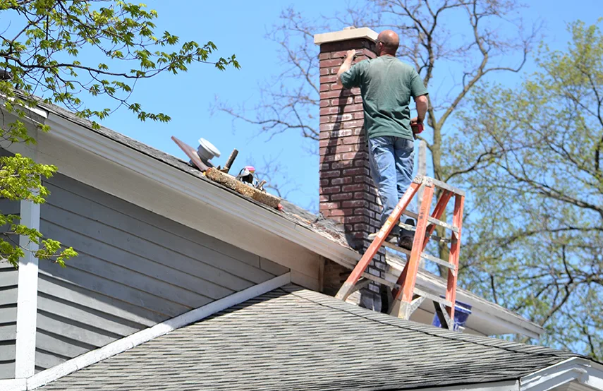 Chimney & Fireplace Inspections Services in Ferry Pass, FL